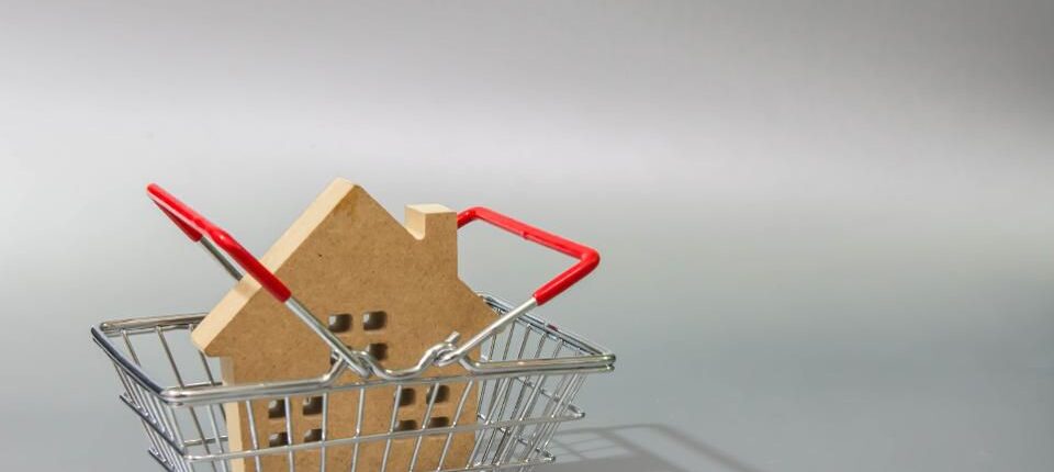 https---specials-images.forbesimg.com-dam-imageserve-1055610170-960x0.jpg_fit=scale.jpeg Mercer 1031